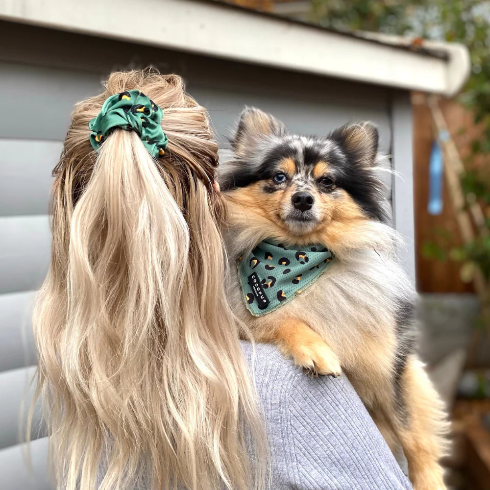 Khaki Leopard Scrunchie - Image 4