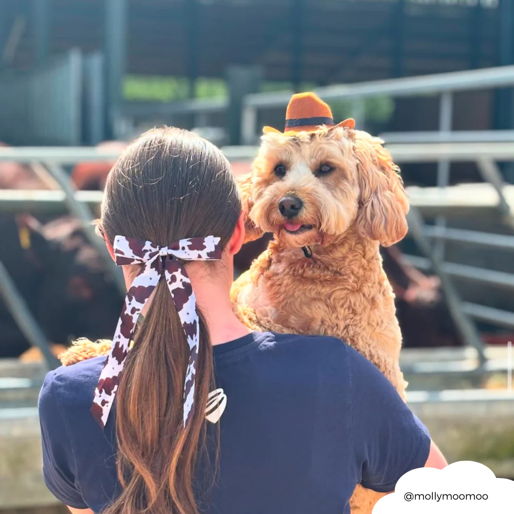 Ribbon Bow Clip - Rodeo Cowgirl - Image 5