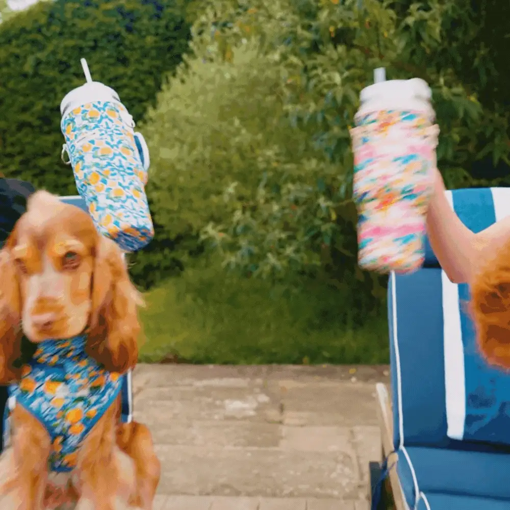 Tumbler Carry Case - Amalfi Lemon - Image 6